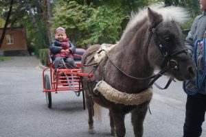 Но-оо!!! Поехали!