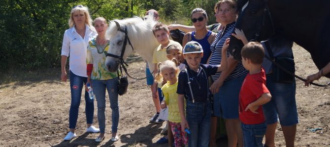 Летняя школа. Летняя школа.