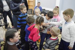 Пушистый питомец