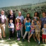 на страусином подворье