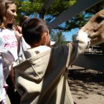 добрый ослик